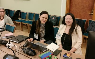 Posiedzenie Komisji Mniejszości w Sejmie RP